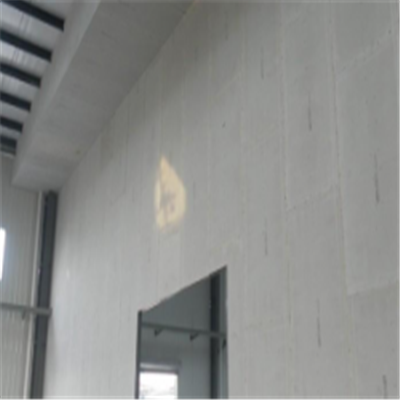 布拖宁波ALC板|EPS加气板隔墙与混凝土整浇联接的实验研讨